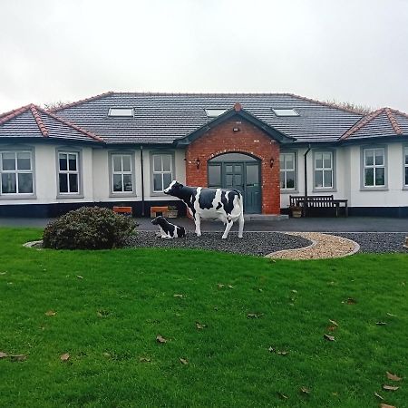 Creeghduff Lodge ดาว์นแพทริค ภายนอก รูปภาพ